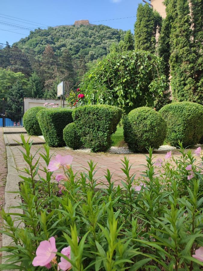 Casa Alina Hotel Deva Luaran gambar